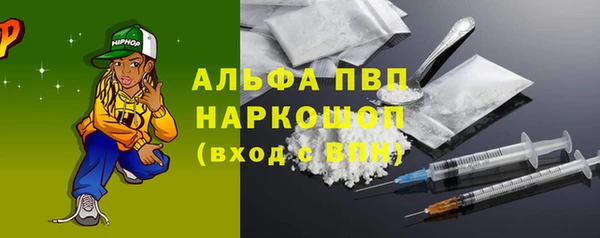 МДПВ Дмитриев