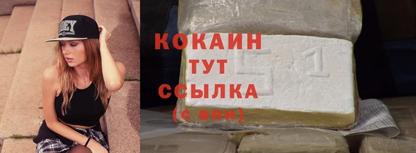 МДПВ Дмитриев