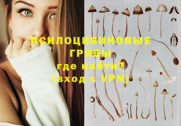 стафф Дмитровск
