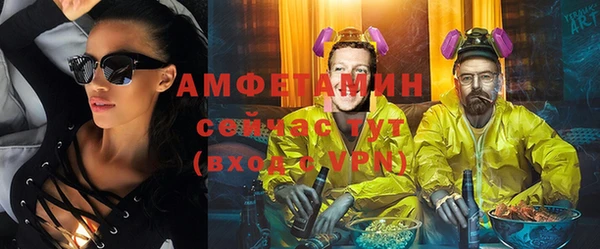 МДПВ Дмитриев