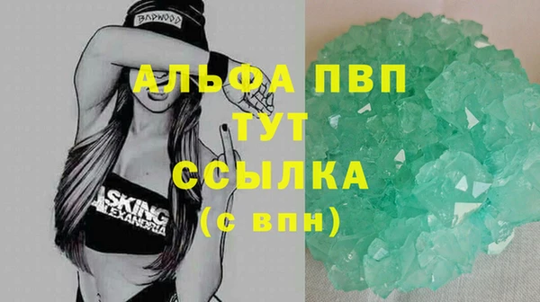стафф Дмитровск