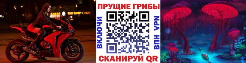 Псилоцибиновые грибы MAGIC MUSHROOMS  Дегтярск 